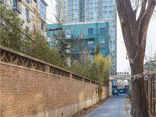 北仑新款合力叉车商家